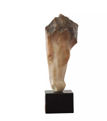 French Retro Abstract Horse Head Art Sculpture