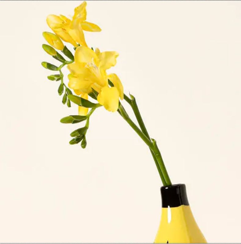Banana Shape Vase – Creative Flower Arrangement Home Decoration